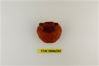 藏品(白紋方蟹)的圖片